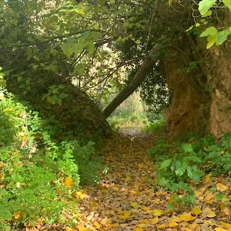 La Ermita De *